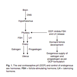 Screen Shot 2018 12 24 at 10.04.06 AM