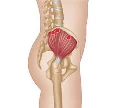 The Science Behind Glute Activation 3 download 1