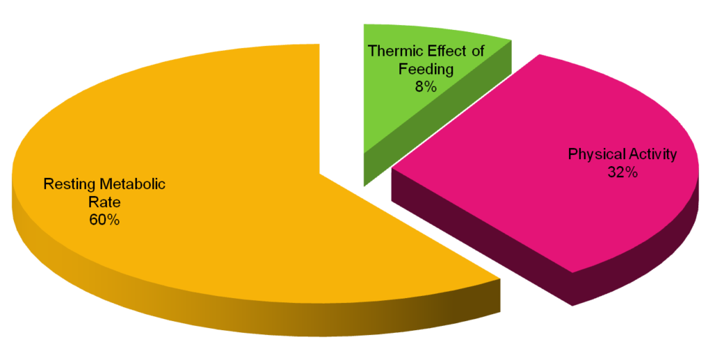 What's the best way to boost your metabolism? 4 Physically Active Energy Expenditure1