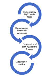 SUGAR: are you addicted? 4 Screen Shot 2019 04 03 at 11.57.26 AM