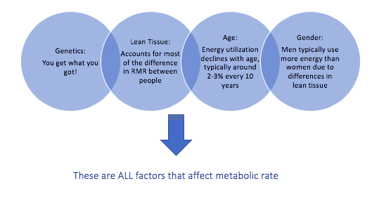 What's the best way to boost your metabolism? 3 Screen Shot 2019 04 17 at 9.55.23 AM 1