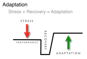 Girl, You Need to TRAIN. Why “Working Out” Doesn’t Work for Female Athletes. 11 Stress Adaptation