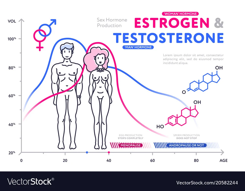 female hormones