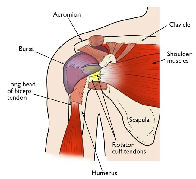 Overhead Athletes & Shoulder Injuries 7 a00064f01