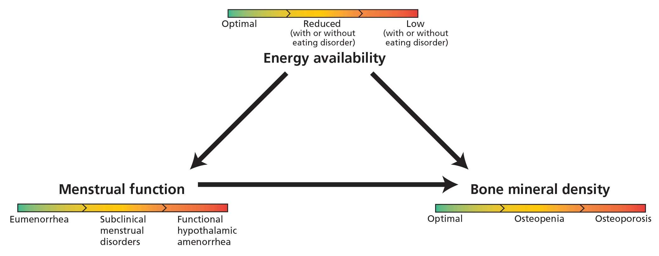 mehta femaleathletetriad f1