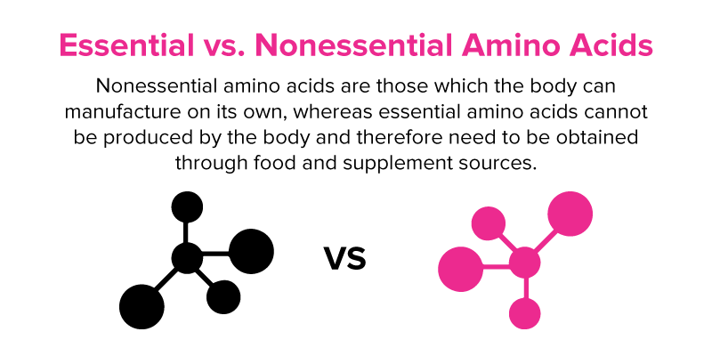 Vegan Athletes: How do you stack up – PROTEIN EDITION. 3 AMIGE 161215 Essential vs. Nonessential Amino Acids