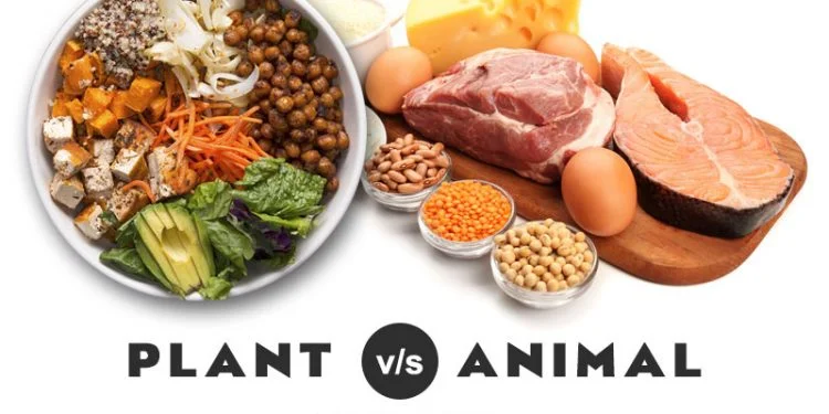 Vegan Athletes: How do you stack up – PROTEIN EDITION. 4 plant protein vs animal protein