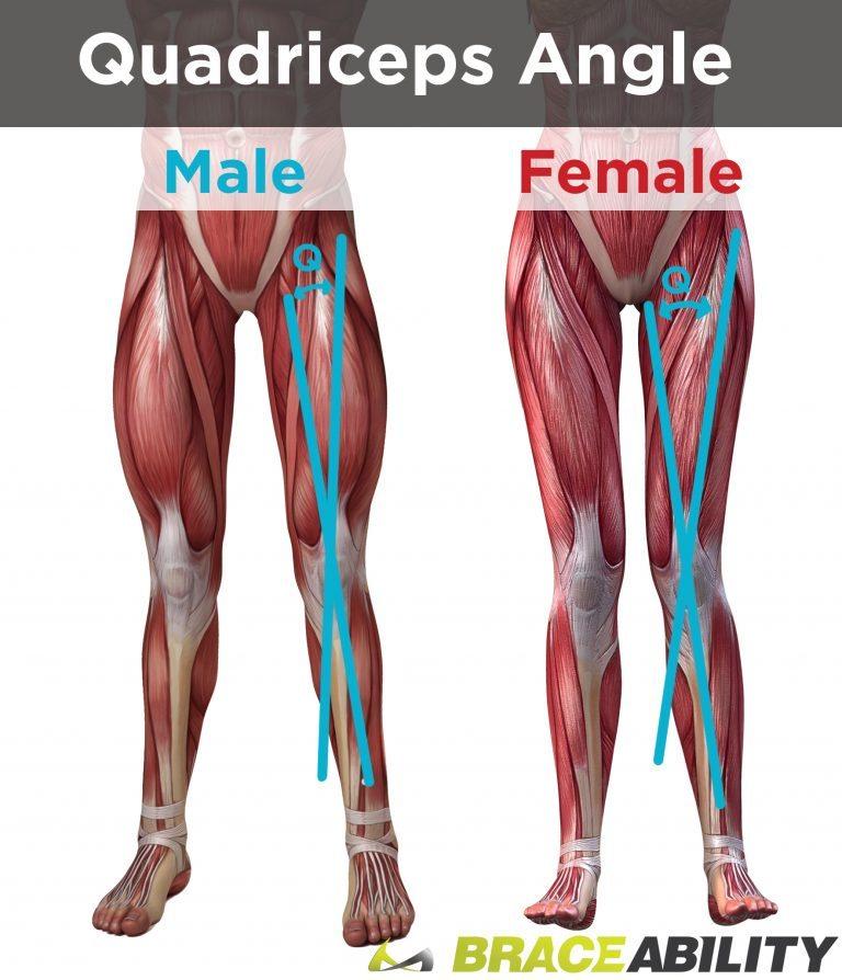 quadricep angle q angle for patellar tracking