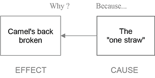 Camel2Causes.png