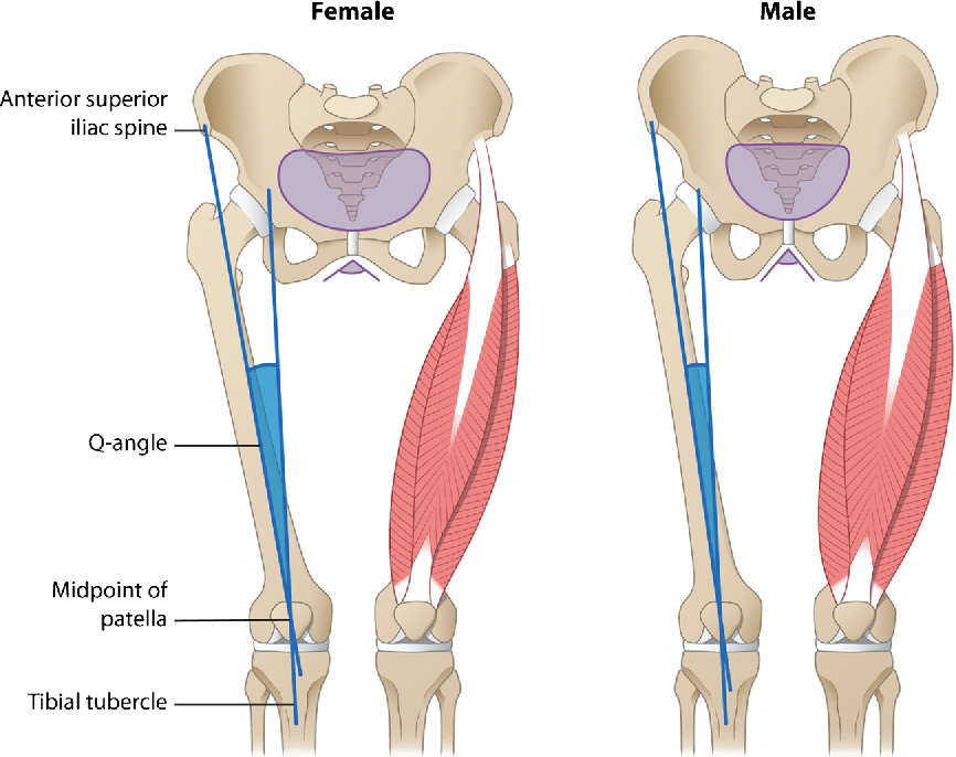 2 Figure1 1