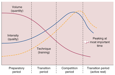Too Young? Unsafe? No Time? Research Says...Young Female Athletes MUST Strength Train. 11 Periodization1 Novice Athlete