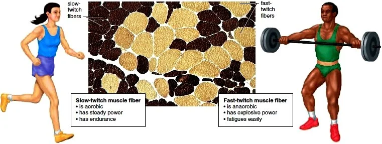  Notice: Type 1 is a girl and Type 2 is a boy 