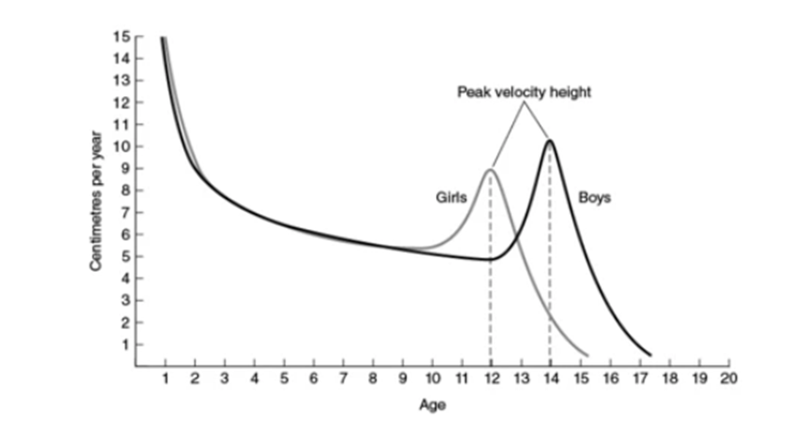 The Ultimate Guide to Female Athletes and Knee Injuries 3 GRAPH%2BG%26M