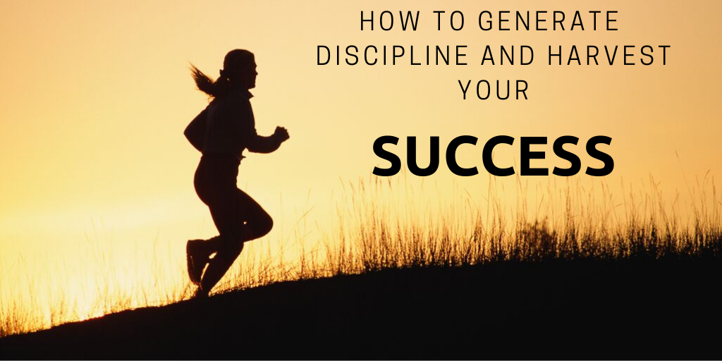 How to generate discipline and harvest your success