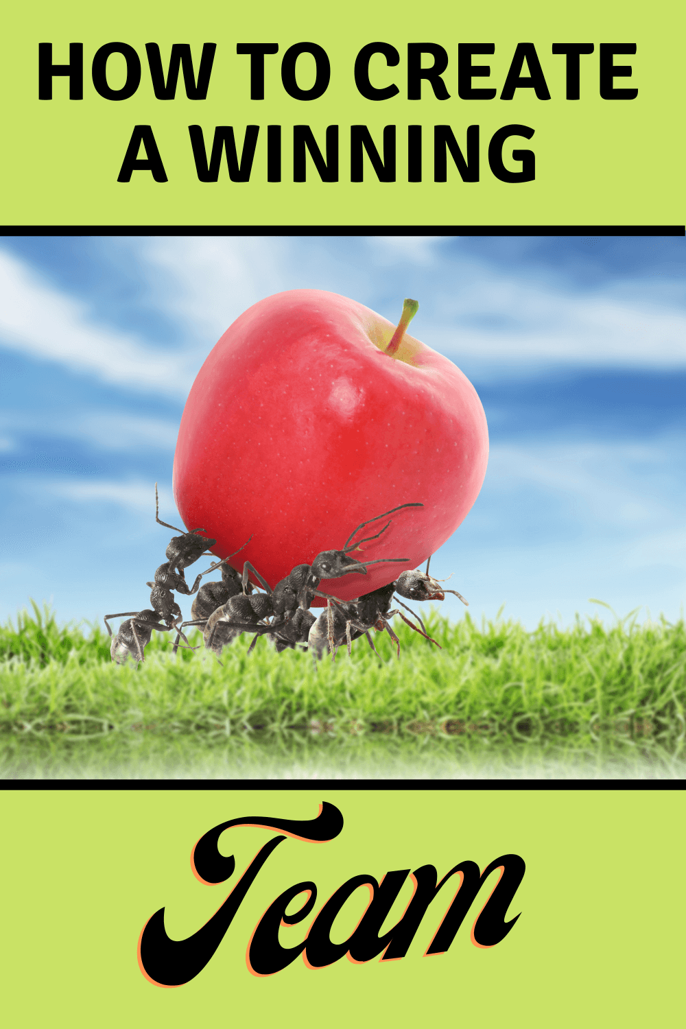 How to create winning teams