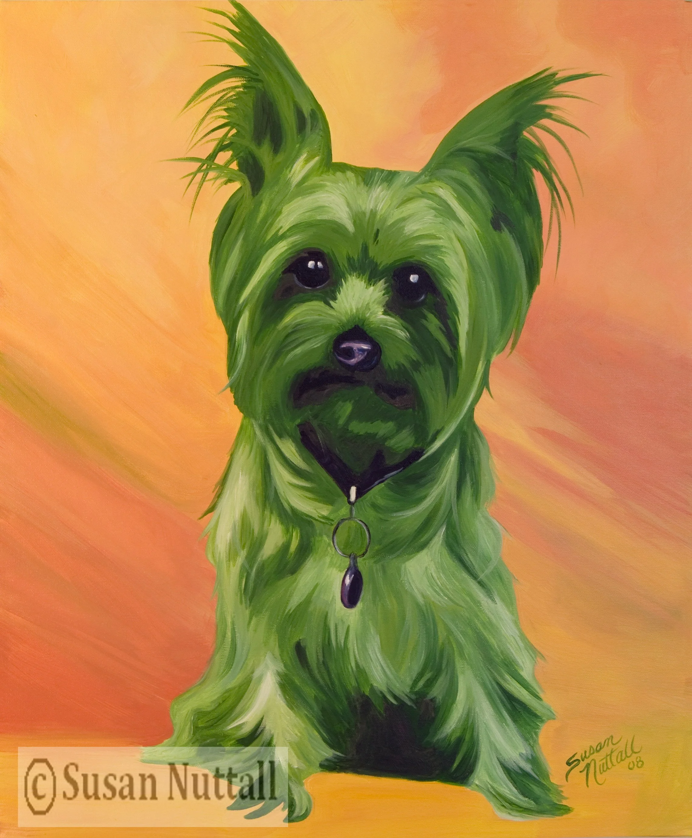 P730 - Yorkieshire Terrier - Sparkie.jpg