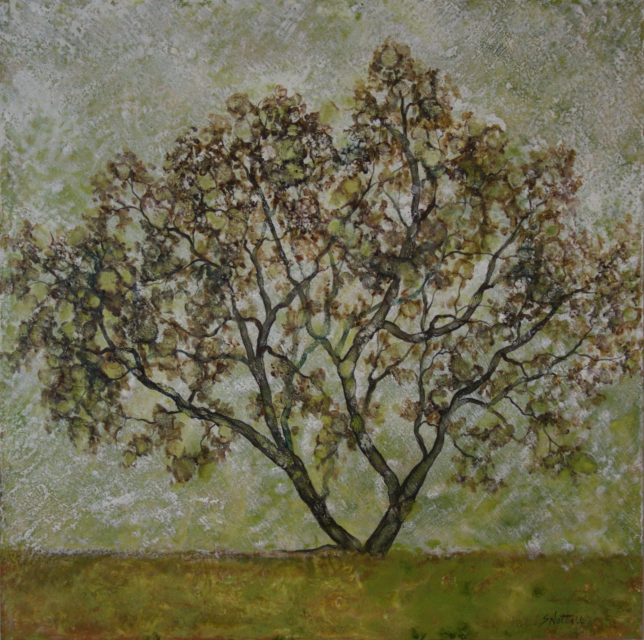 Wall - 2 E1794 Crape Myrtle.jpg