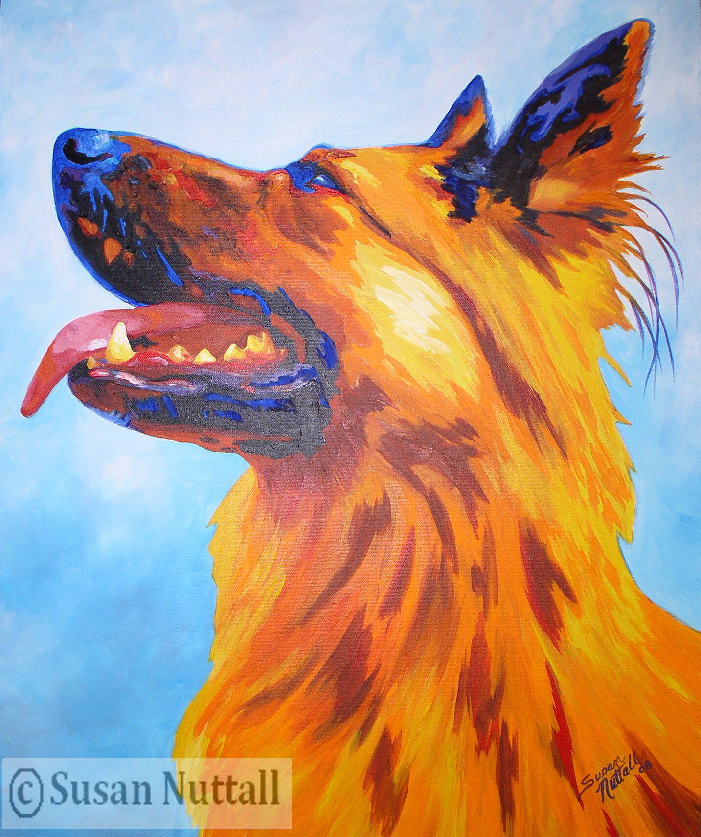 German Shepherd
