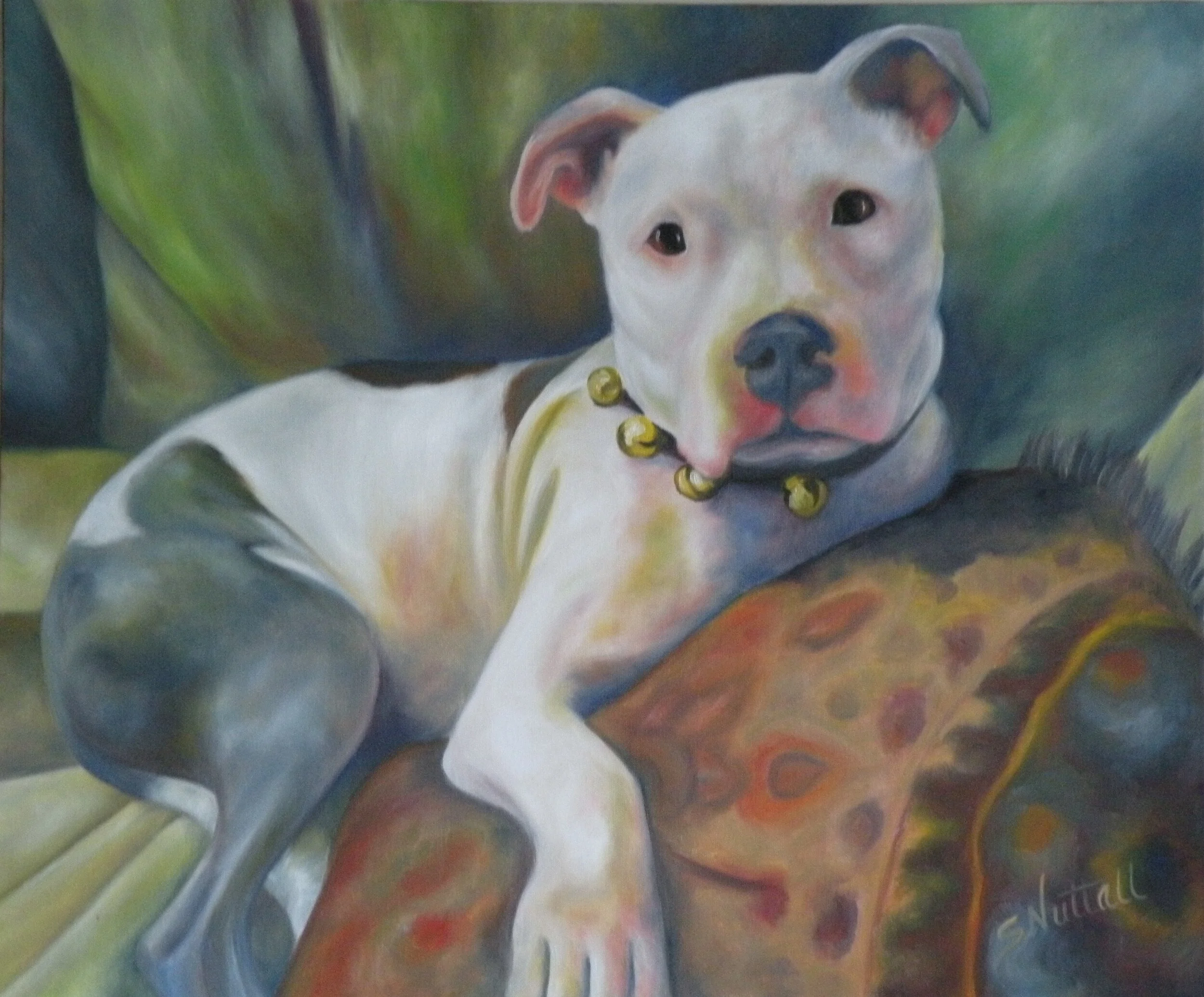 P741 mingus - Pit Bull 2009 - Copy.JPG