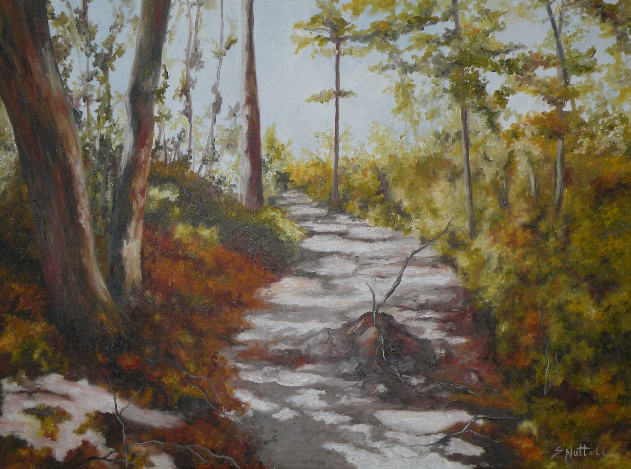 O790 - Beacon Heights trail.JPG