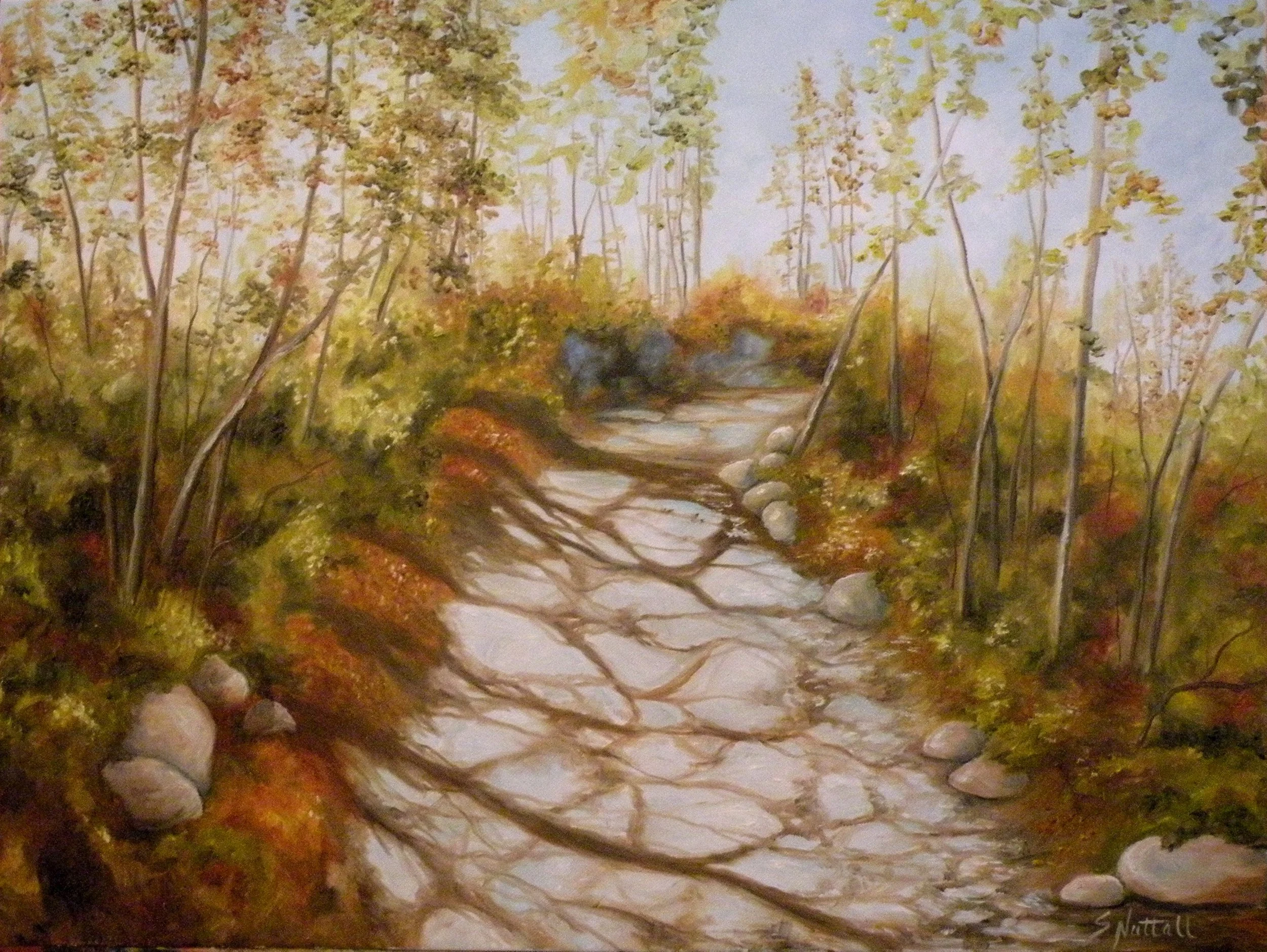 O697 - The Trail to Beacon Heights.JPG