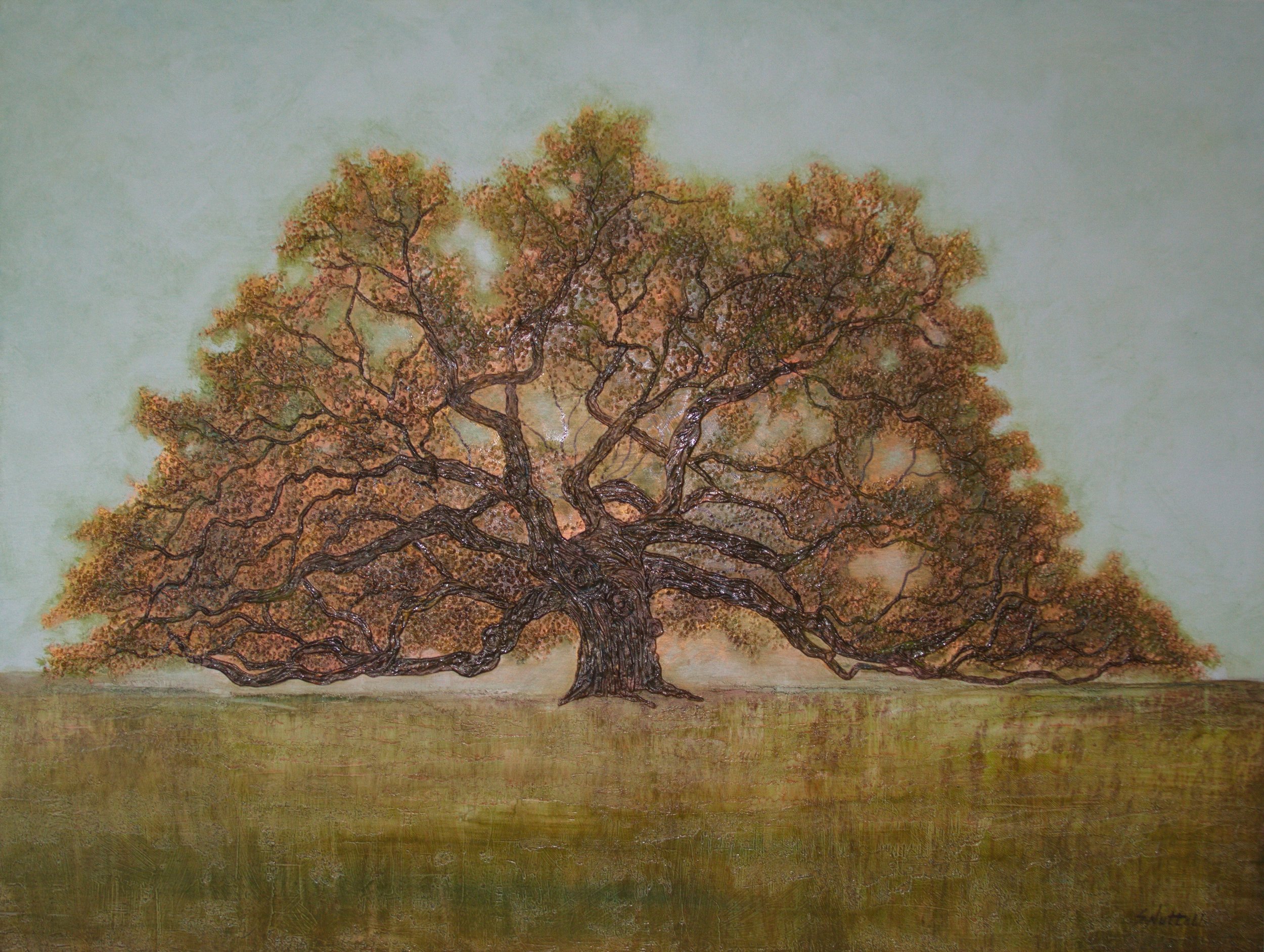 Angel Oak #13