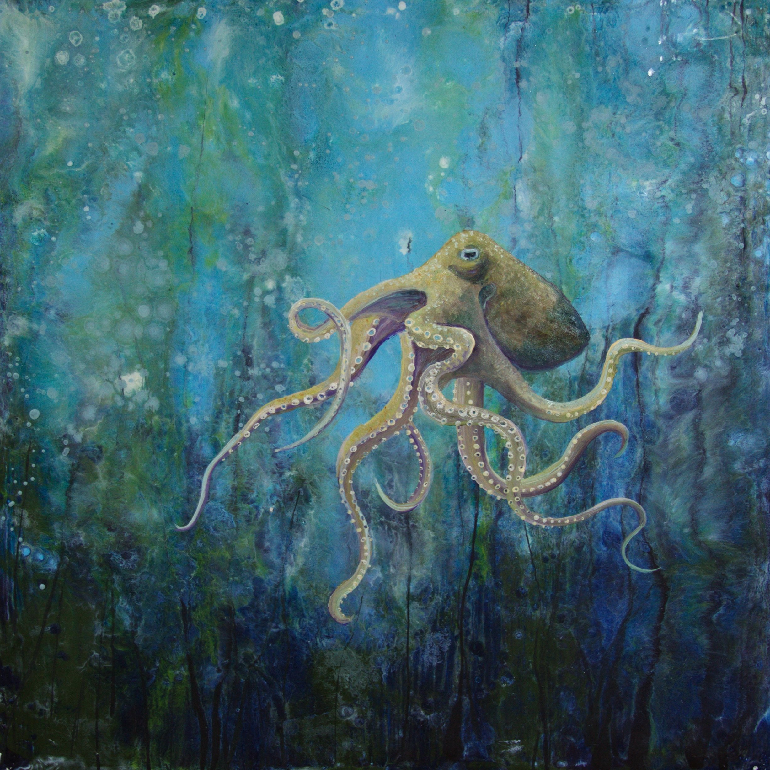 E1808 Octopus #1 -oil overlay.jpg