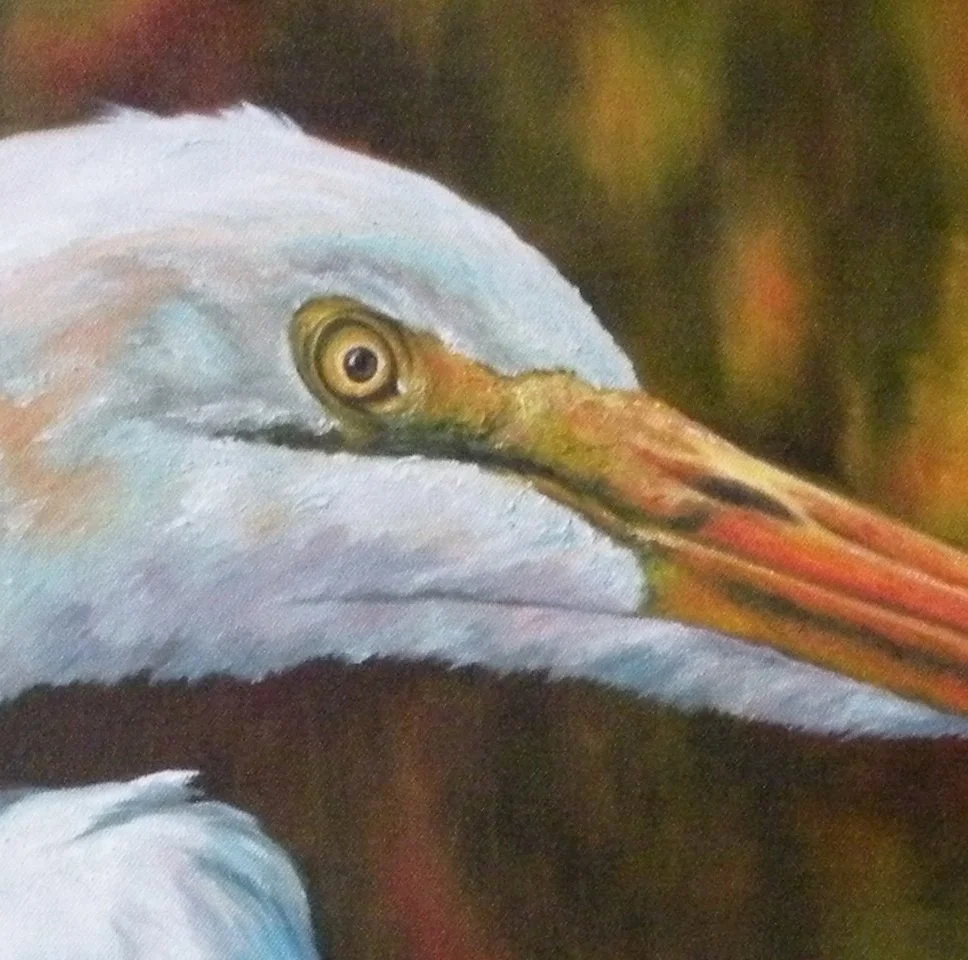 2806 - Egret Frog Fishing 1.JPG