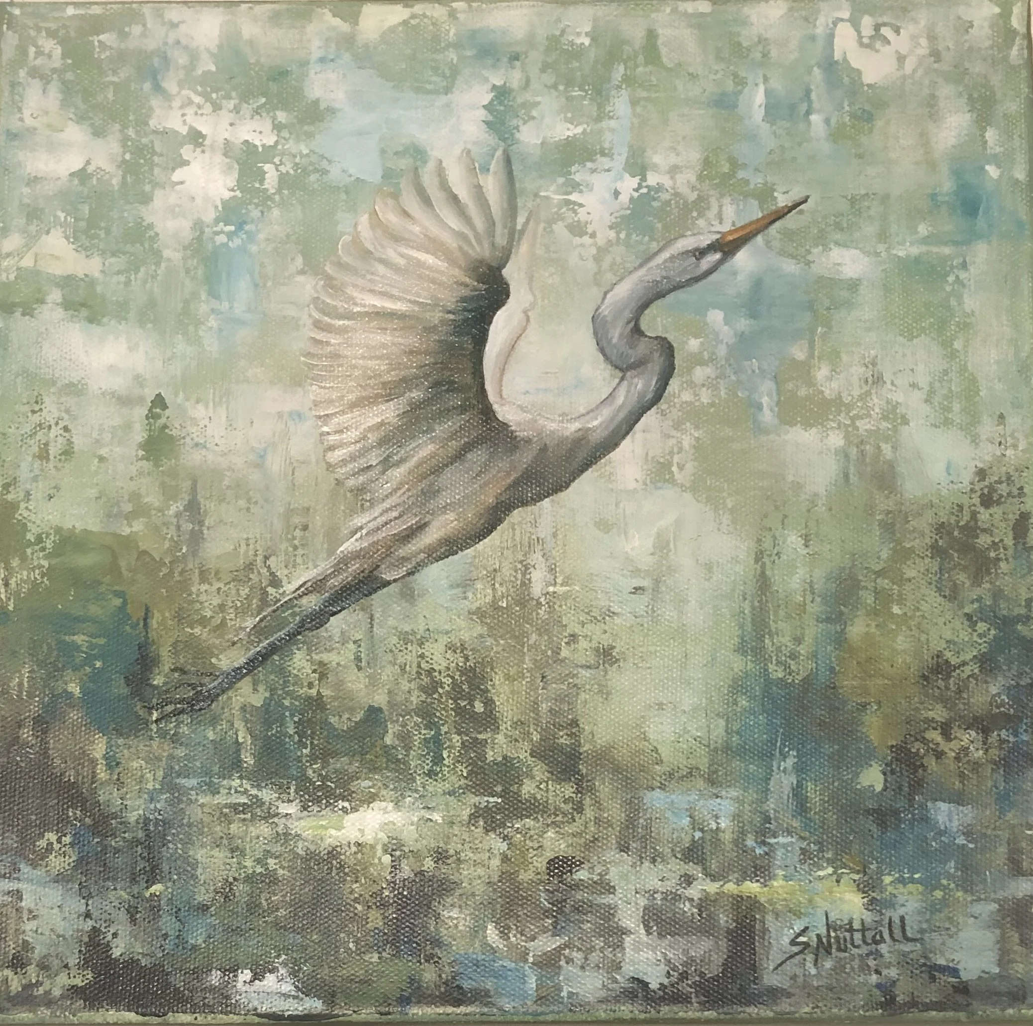 Bird in flight.jpg