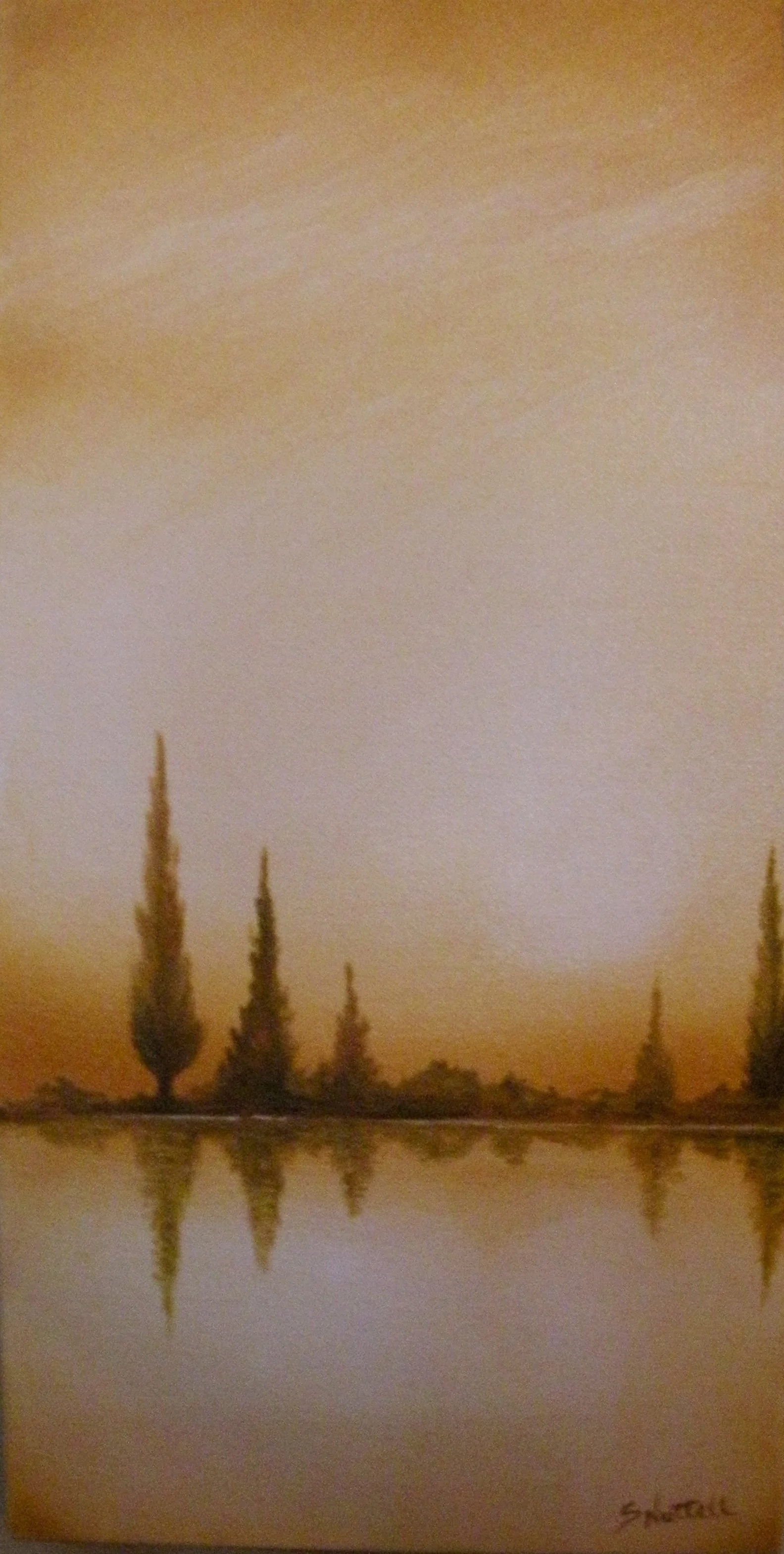 O687+-+Reflection+Gold+Tones.jpg