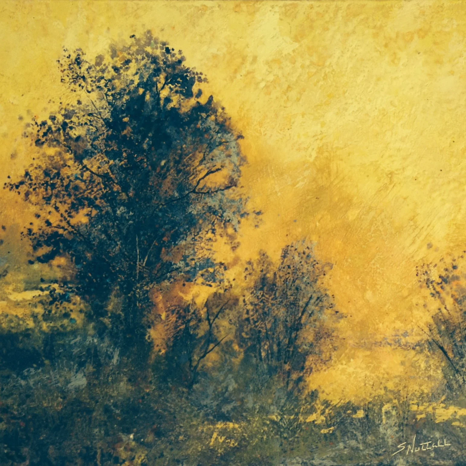 E1688 - outerbanks landscape sq.JPG