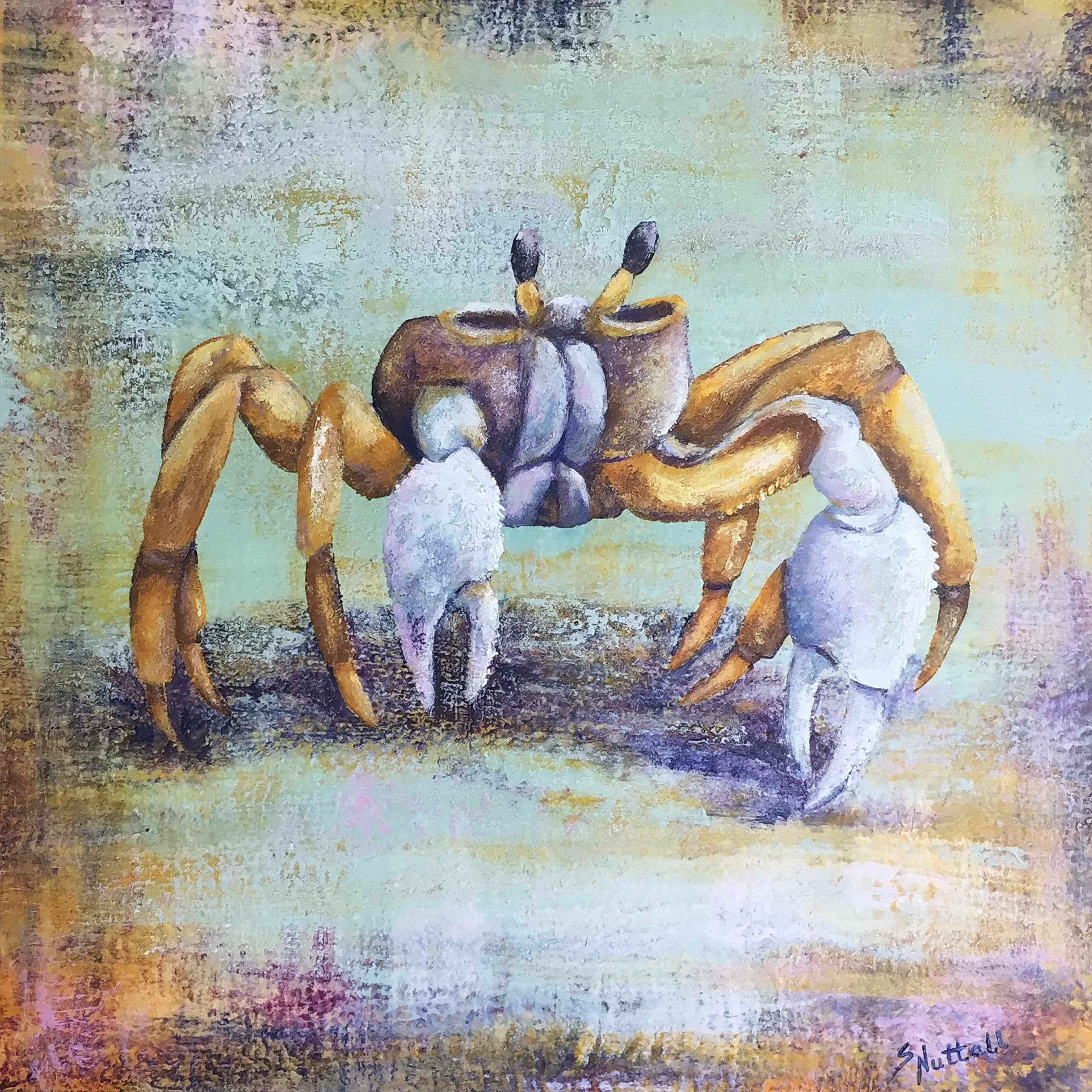 E1751 Ghost Crab sharpened.JPG