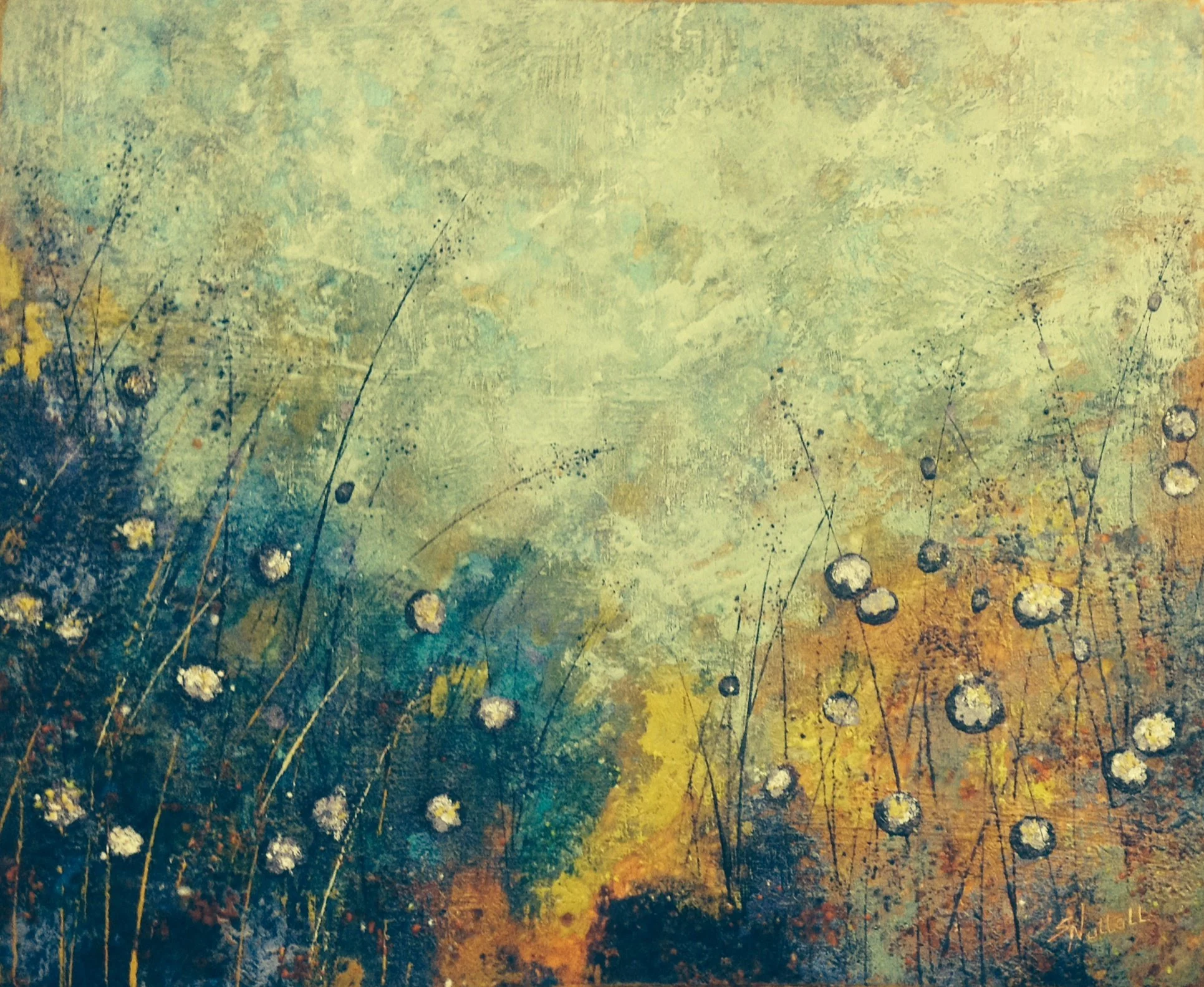 E1687 - Wild Flowers.JPG