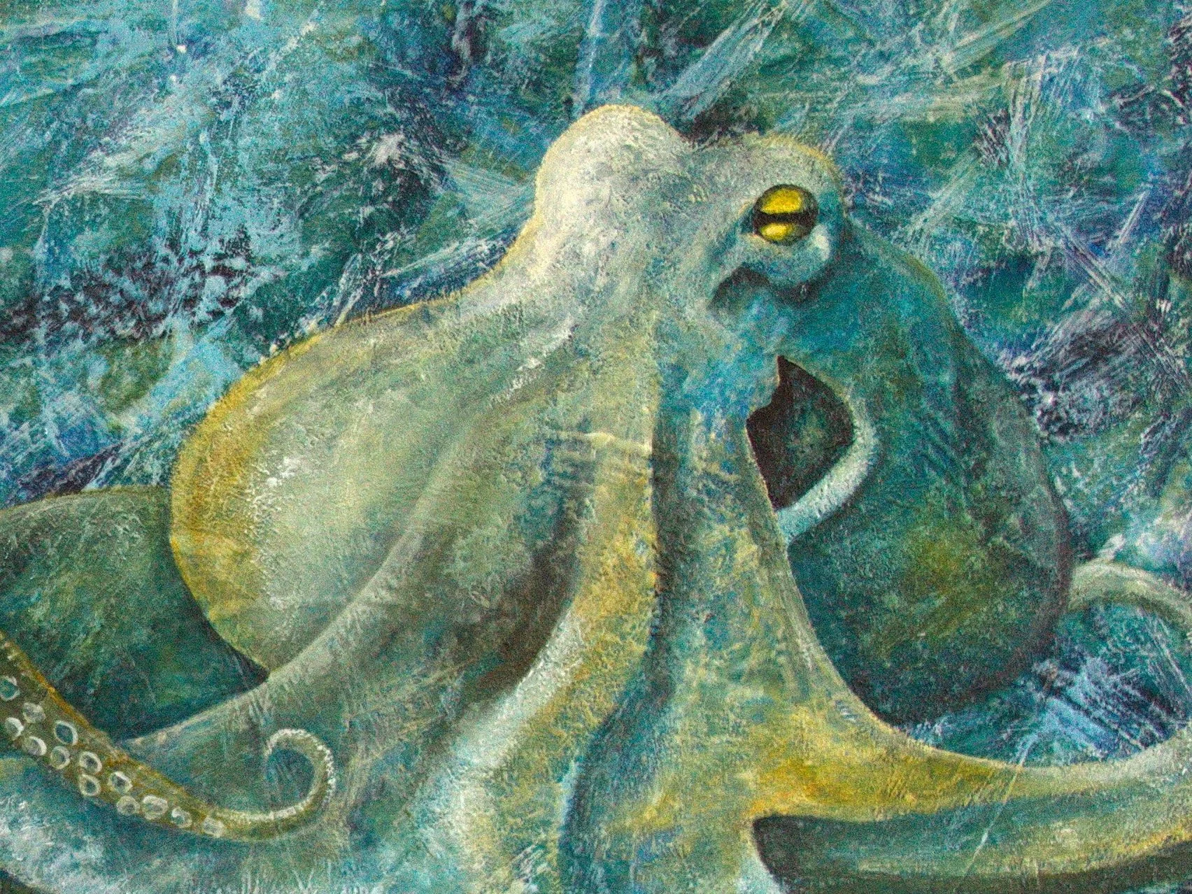 E1847 Emotions of an Octopus - close up 1.jpg