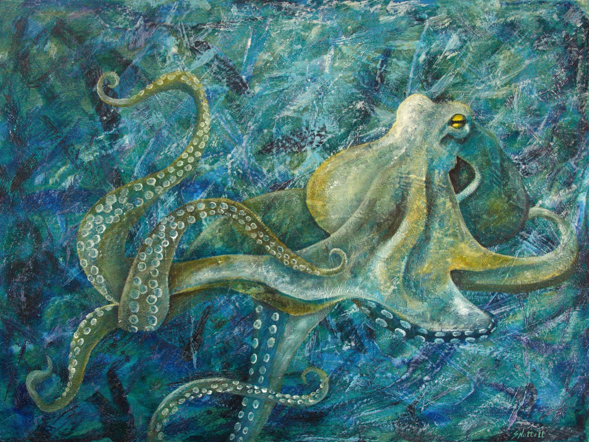 E1847 Emotions of an Octopus.jpg