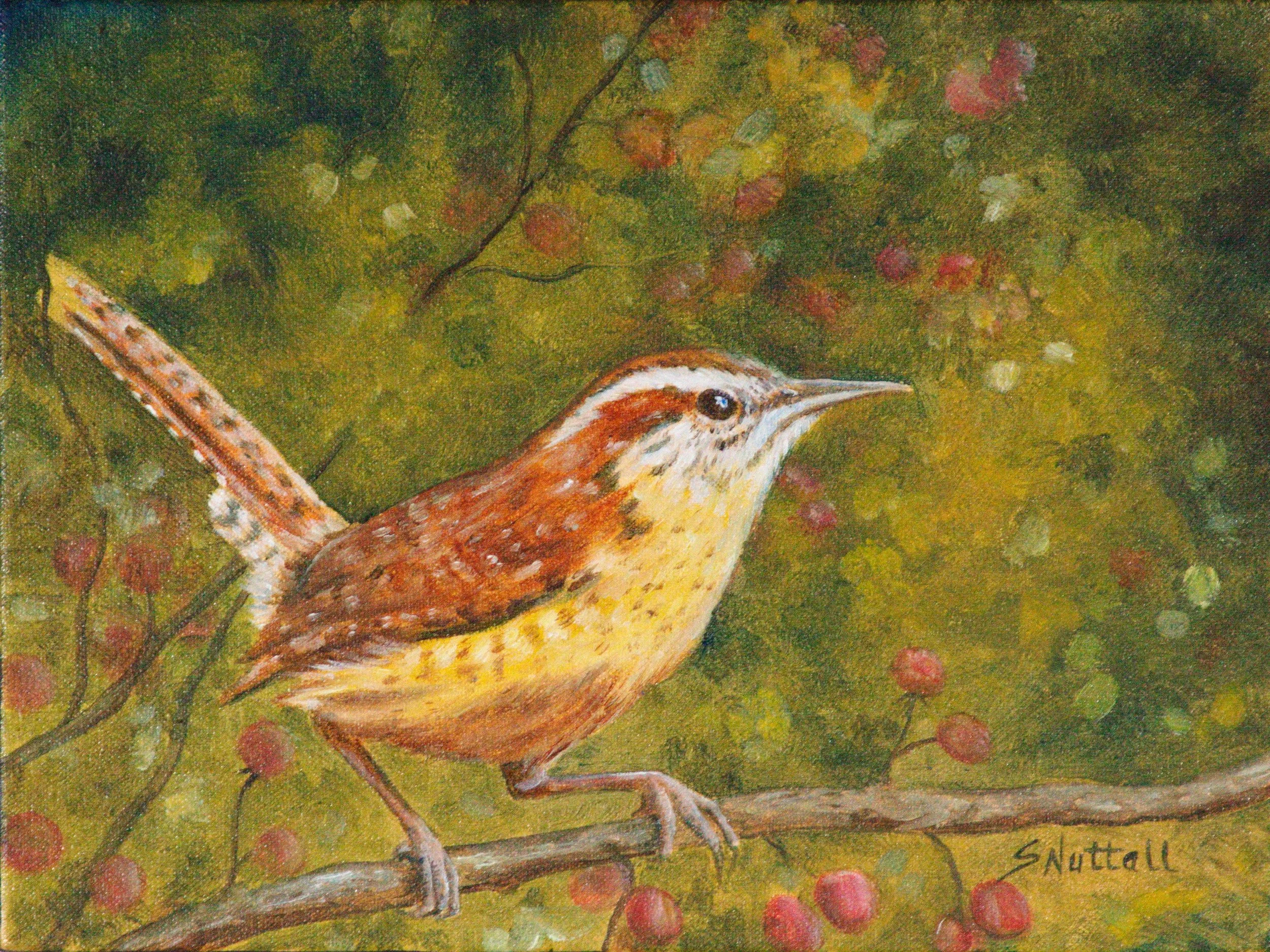 O805 - Carolina Wren with Cherries