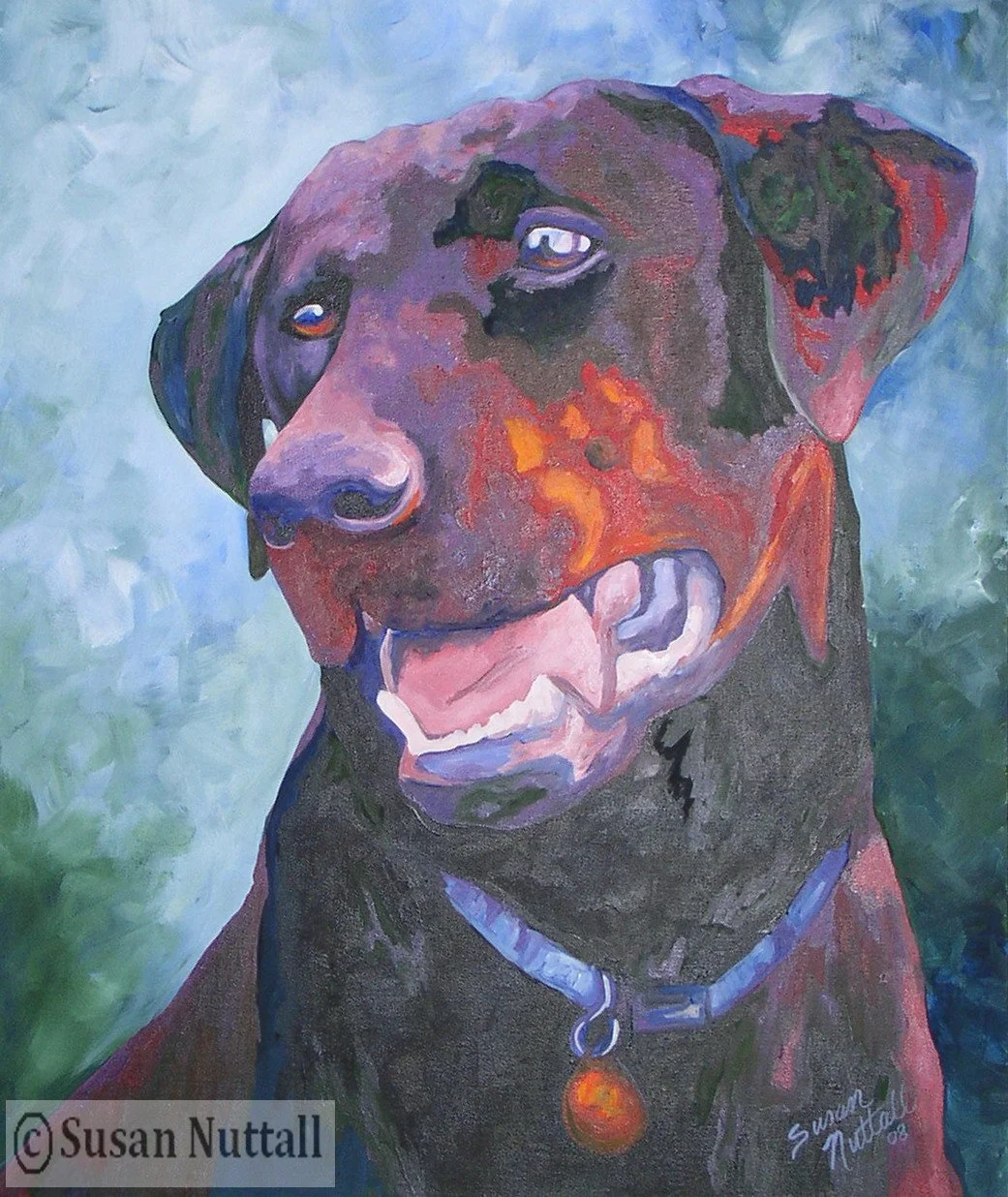 P734 - Labrador Retriever - Duke.jpg