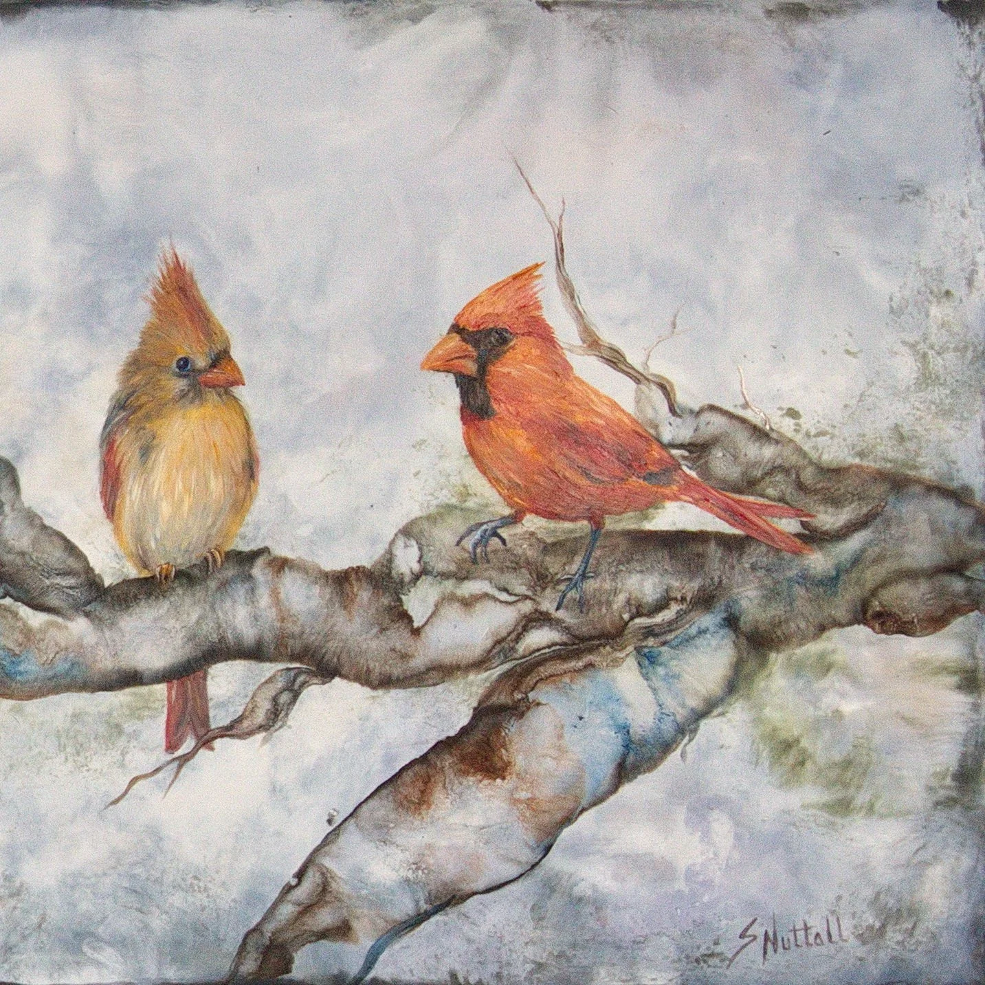 E1868 R - Cardinals in the Winter.jpg