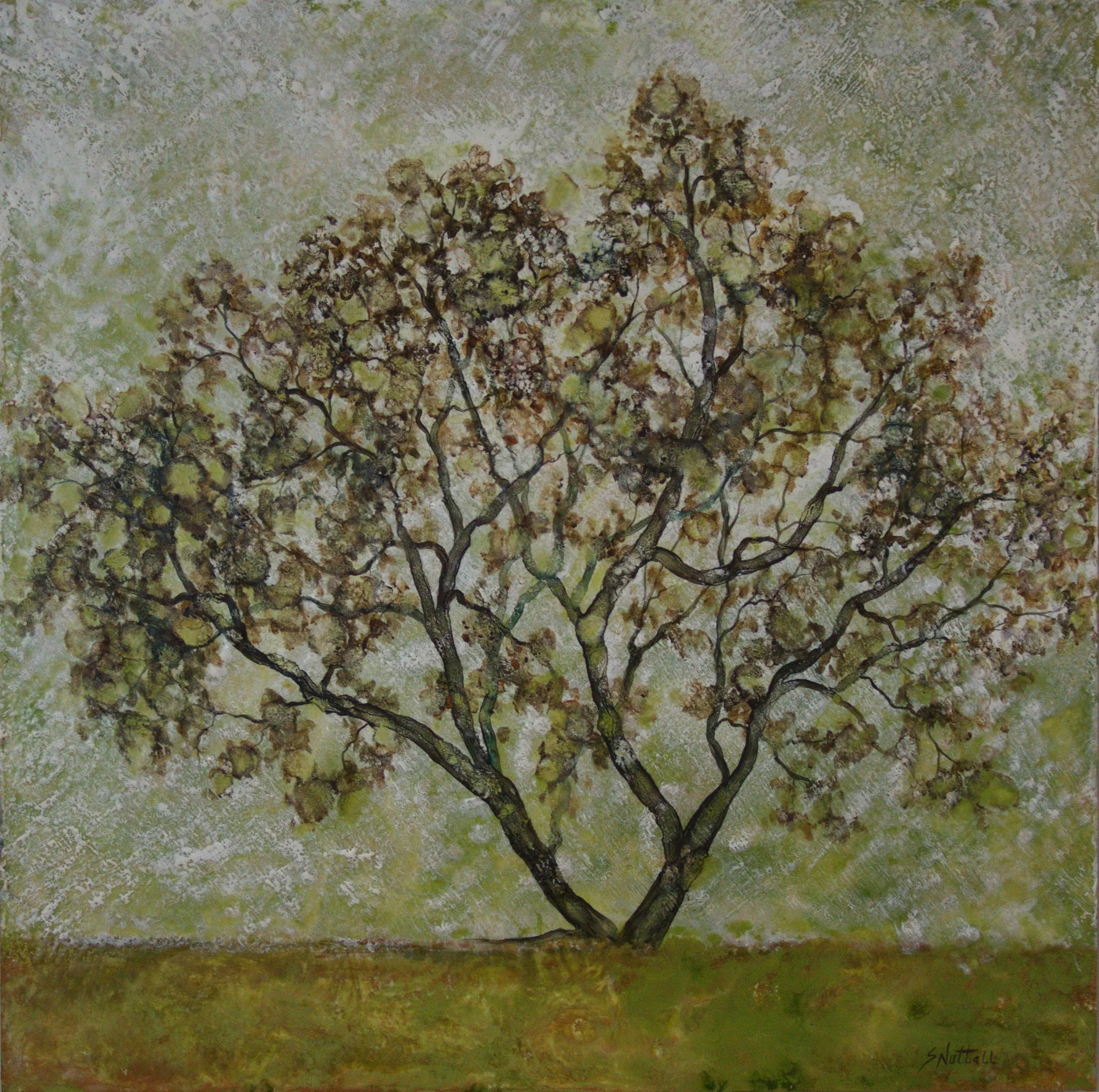 Wall - 2 E1794 Crape Myrtle.jpg
