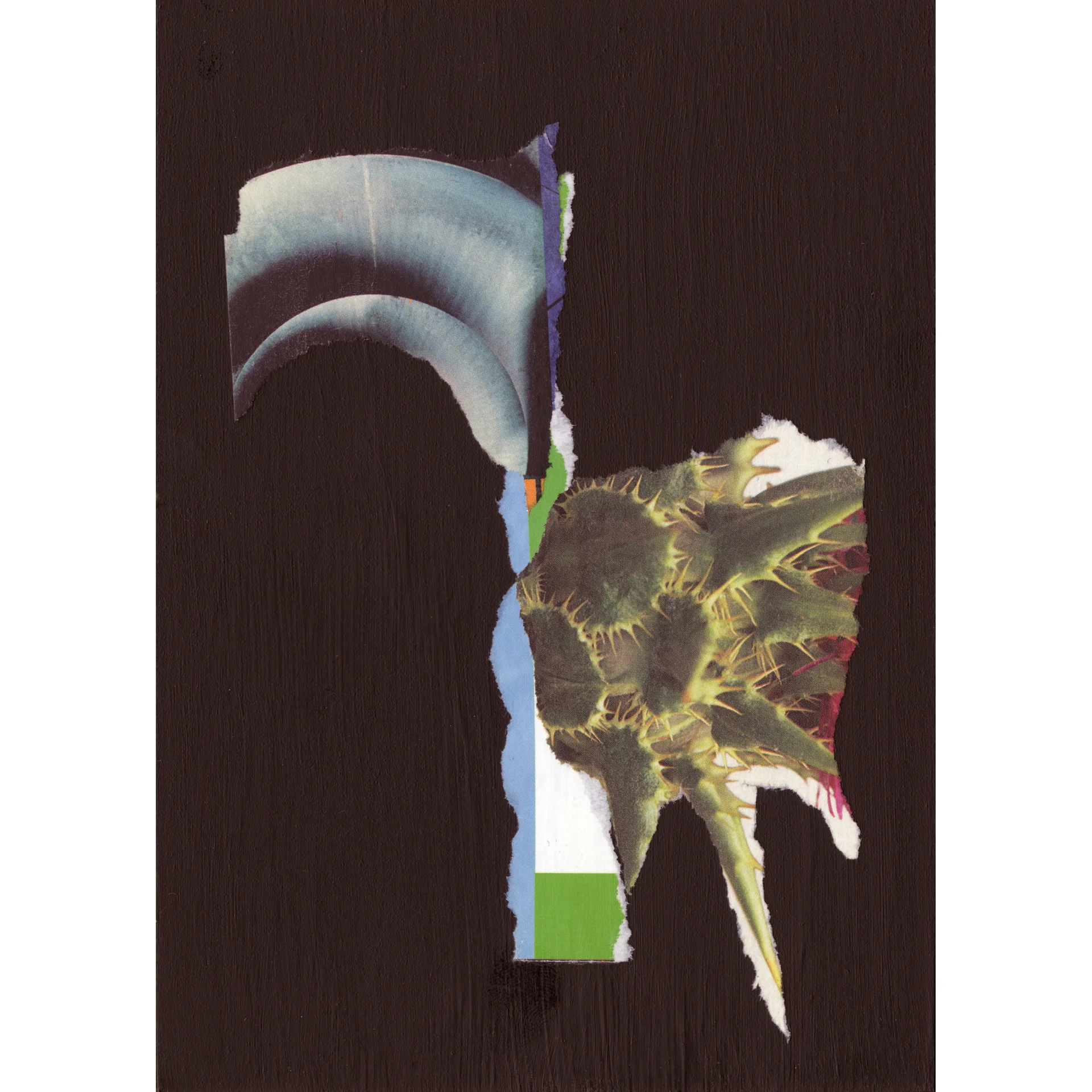RUMINATION 29