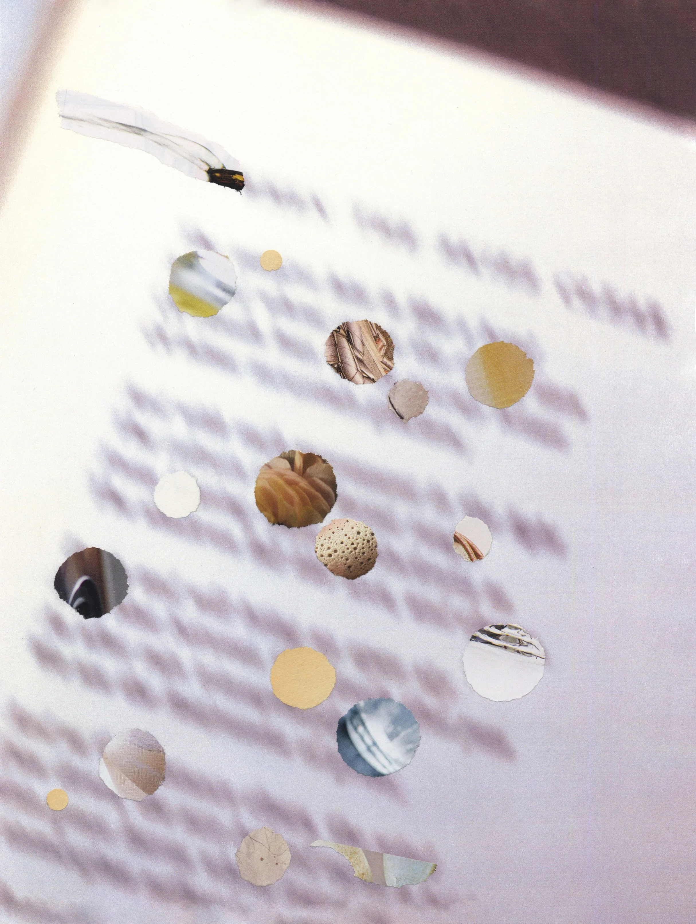 SUSPENDED MODULATION