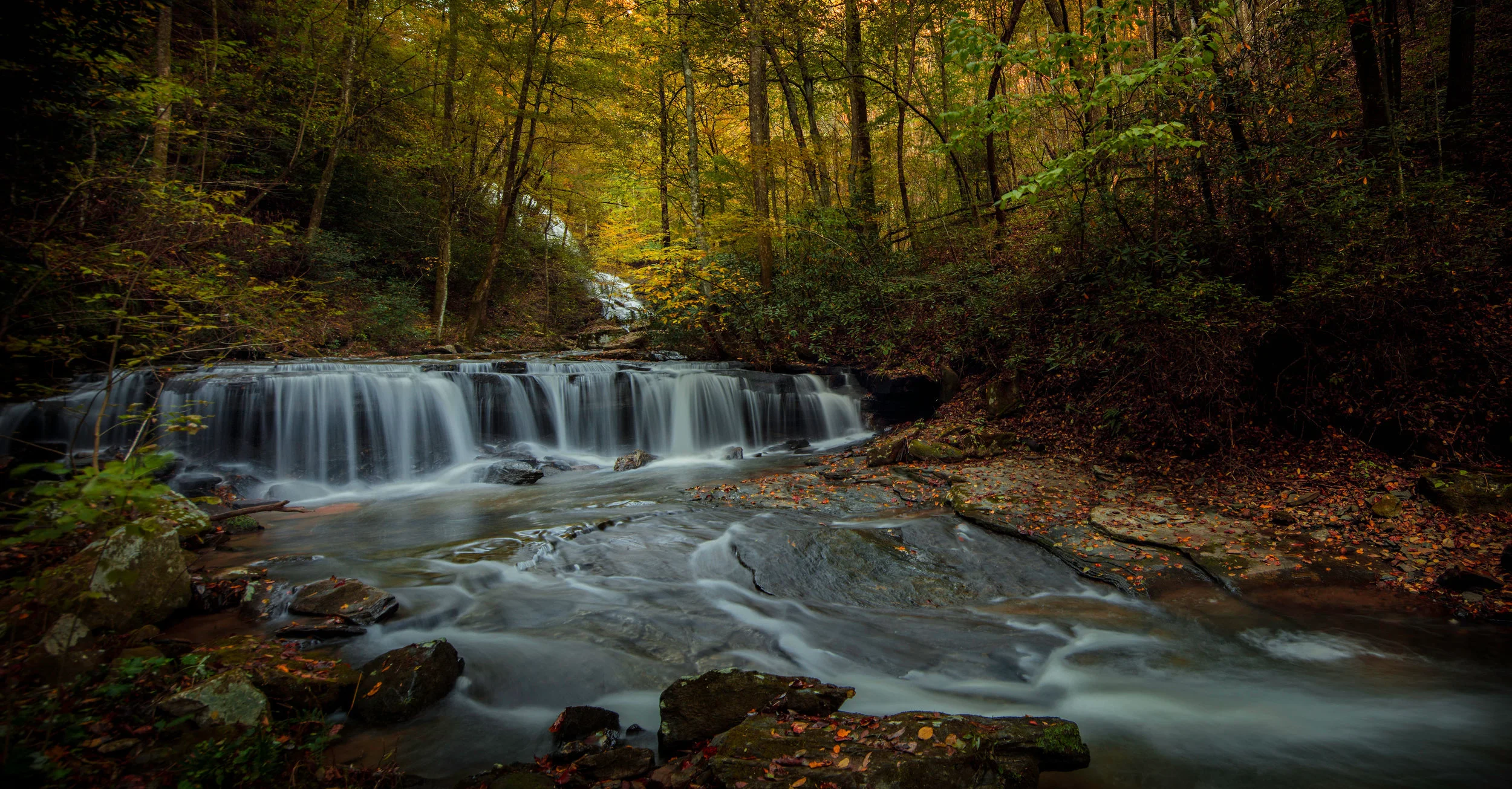 Pearsons Falls - Saluda (Copy)