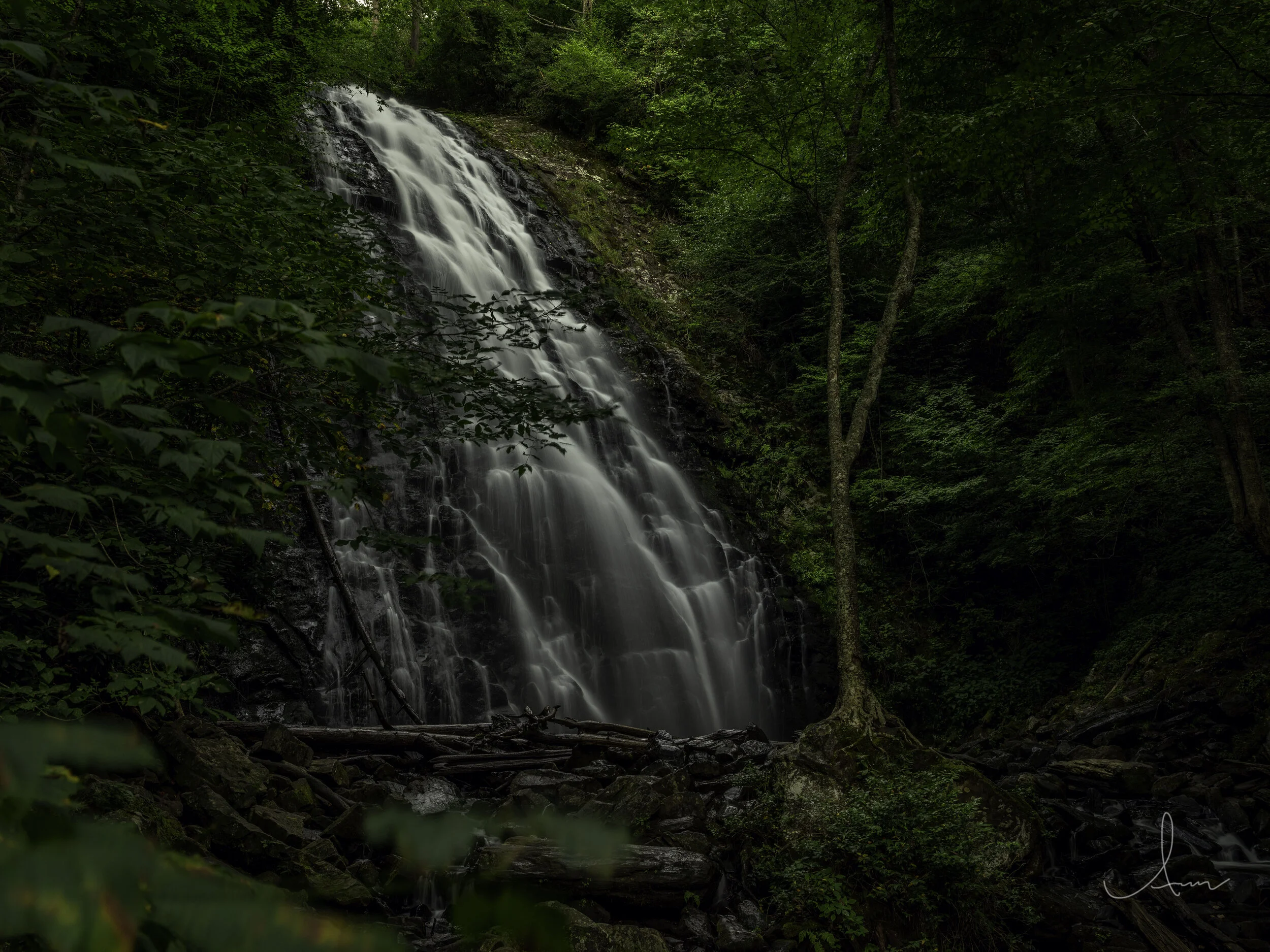 Waterfall surrounded by lush green forest
