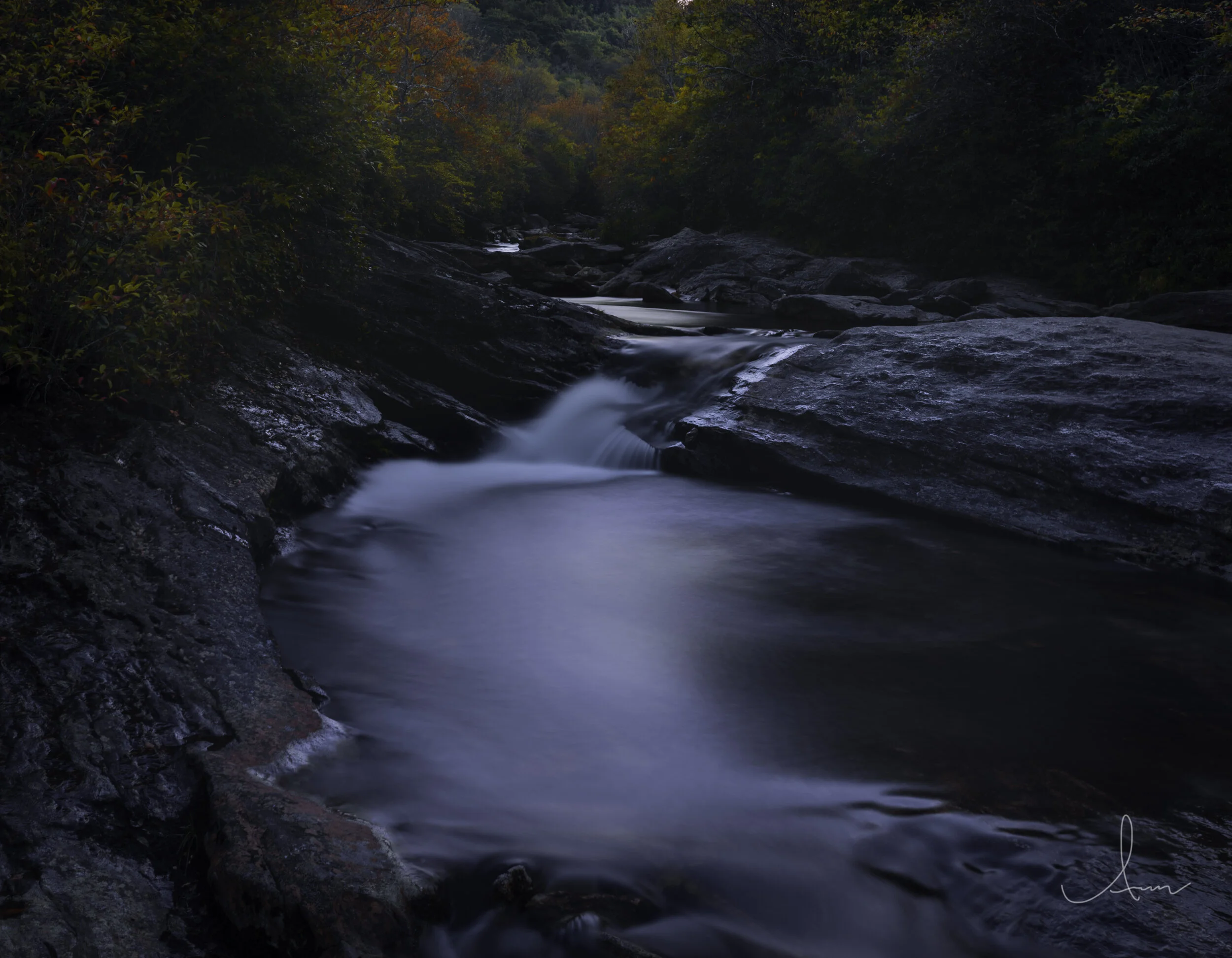 Serene forest stream with smooth flowing water over rocks, surrounded by lush greenery.