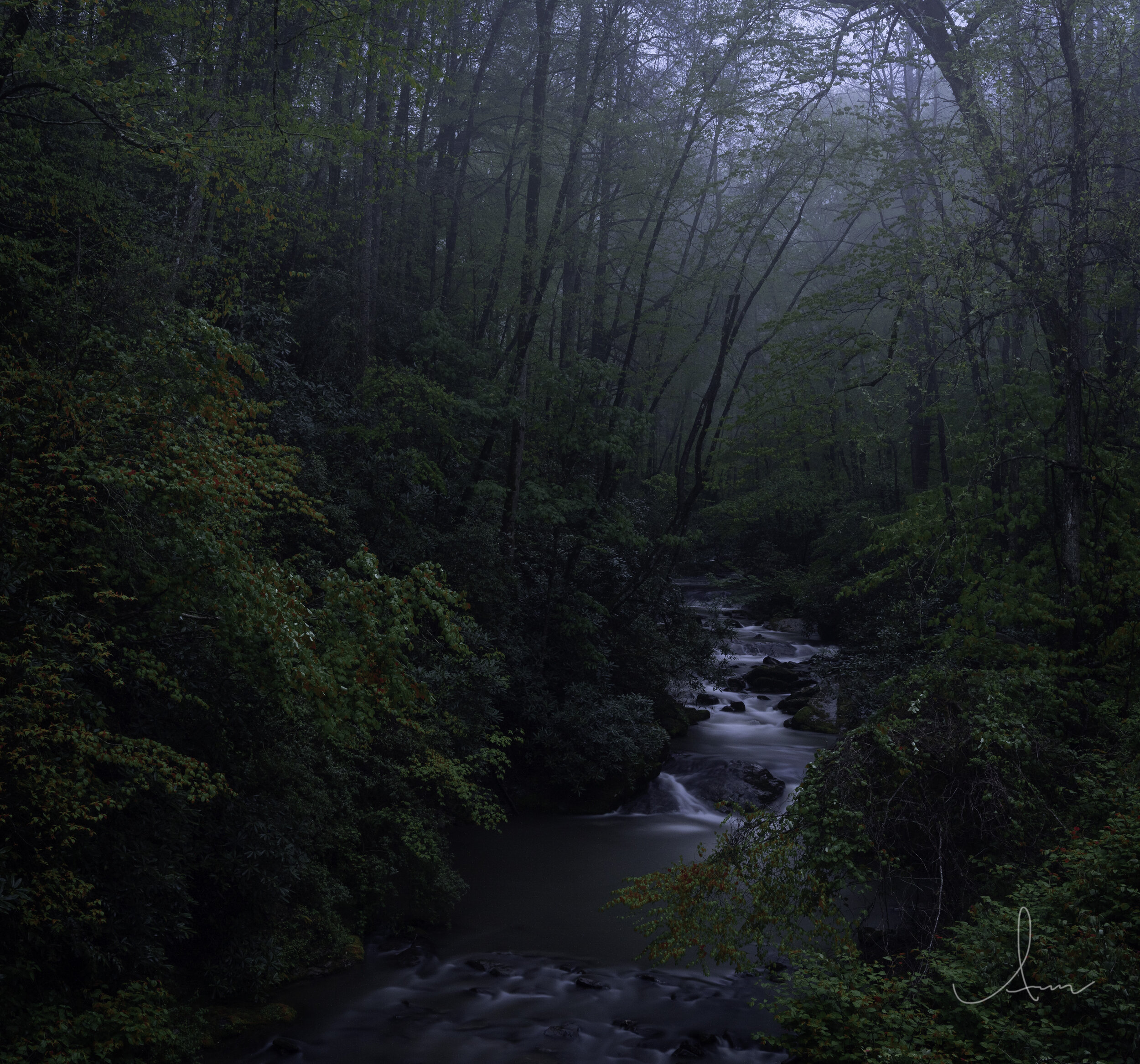 A misty forest with lush green foliage surrounds a gently flowing stream, creating a serene and tranquil atmosphere.