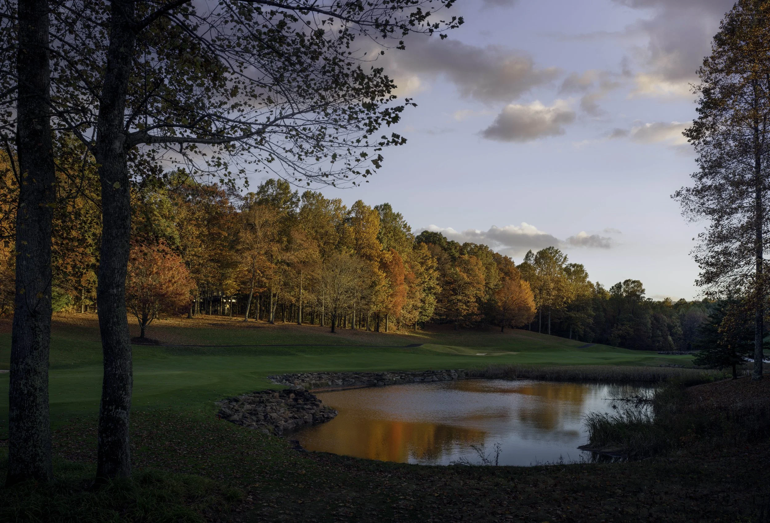 Autumn landscape with trees, a pond, and green grass in the foreground, under a cloudy sky at sunset.