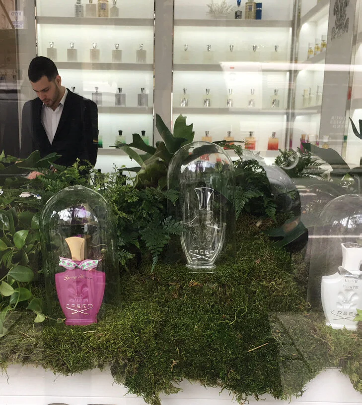 creed window spring 3.jpg