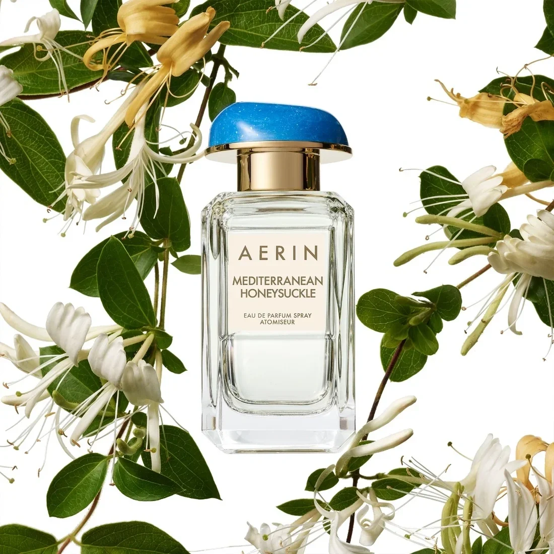 aerin mh product.webp