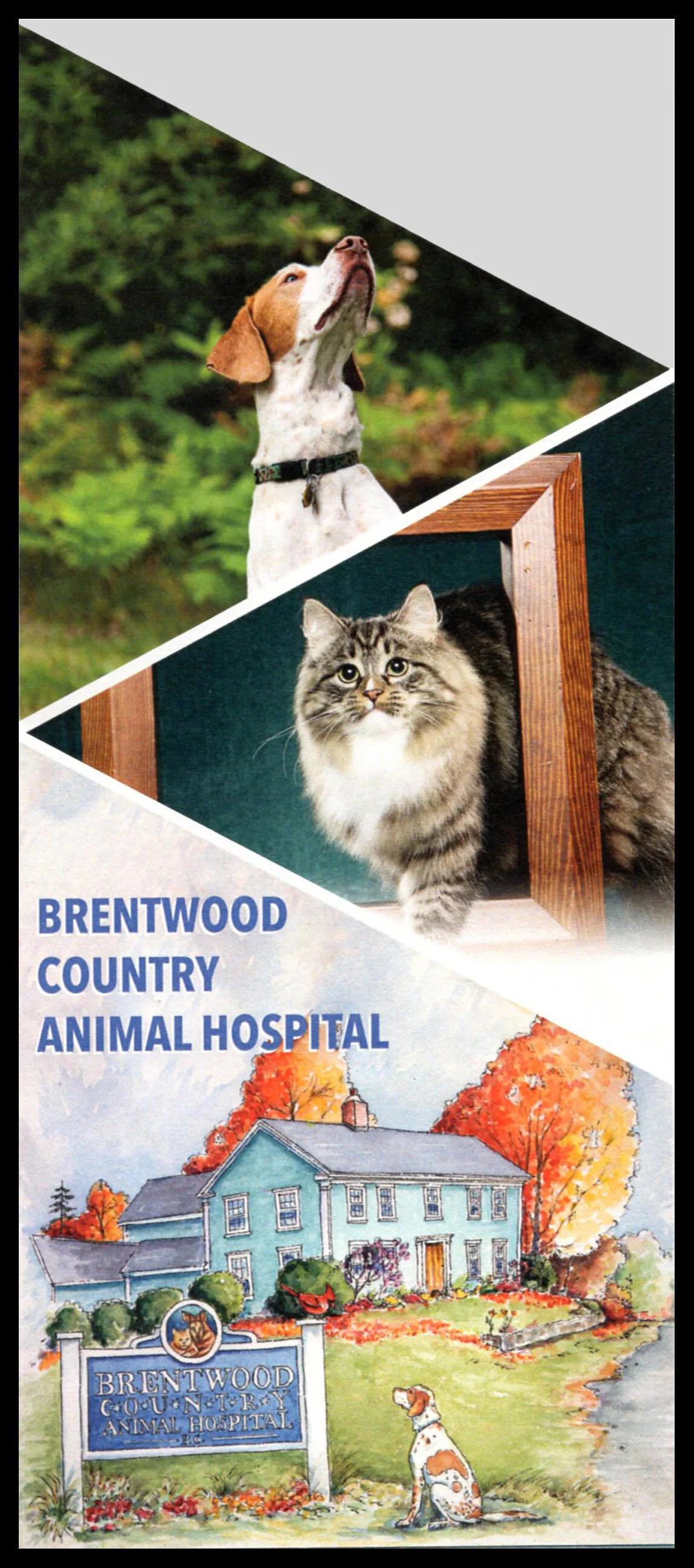 BrentwoodBrochurePrintWeb.jpg