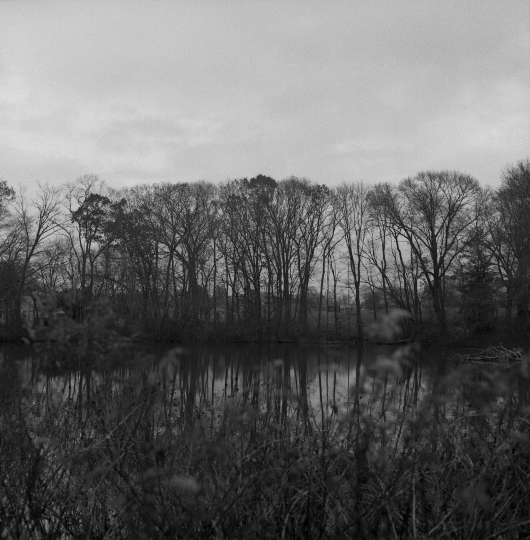 1_Reflection_of_the_lake.jpg